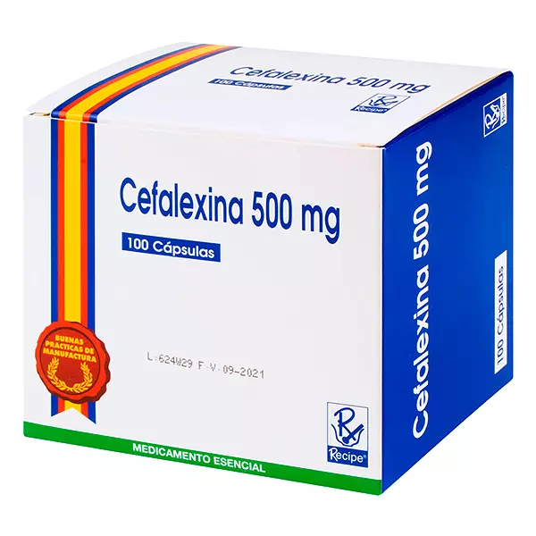 Cefalexina 500 Mg Cj X 100 Cap Bussie