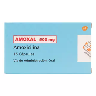 Amoxal 500 Mg 15 Capsulas